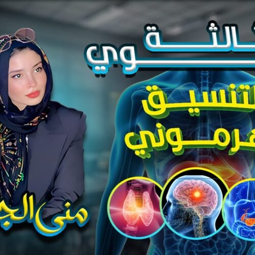 مخطط التنسيق الهرموني في سبورة واحدة